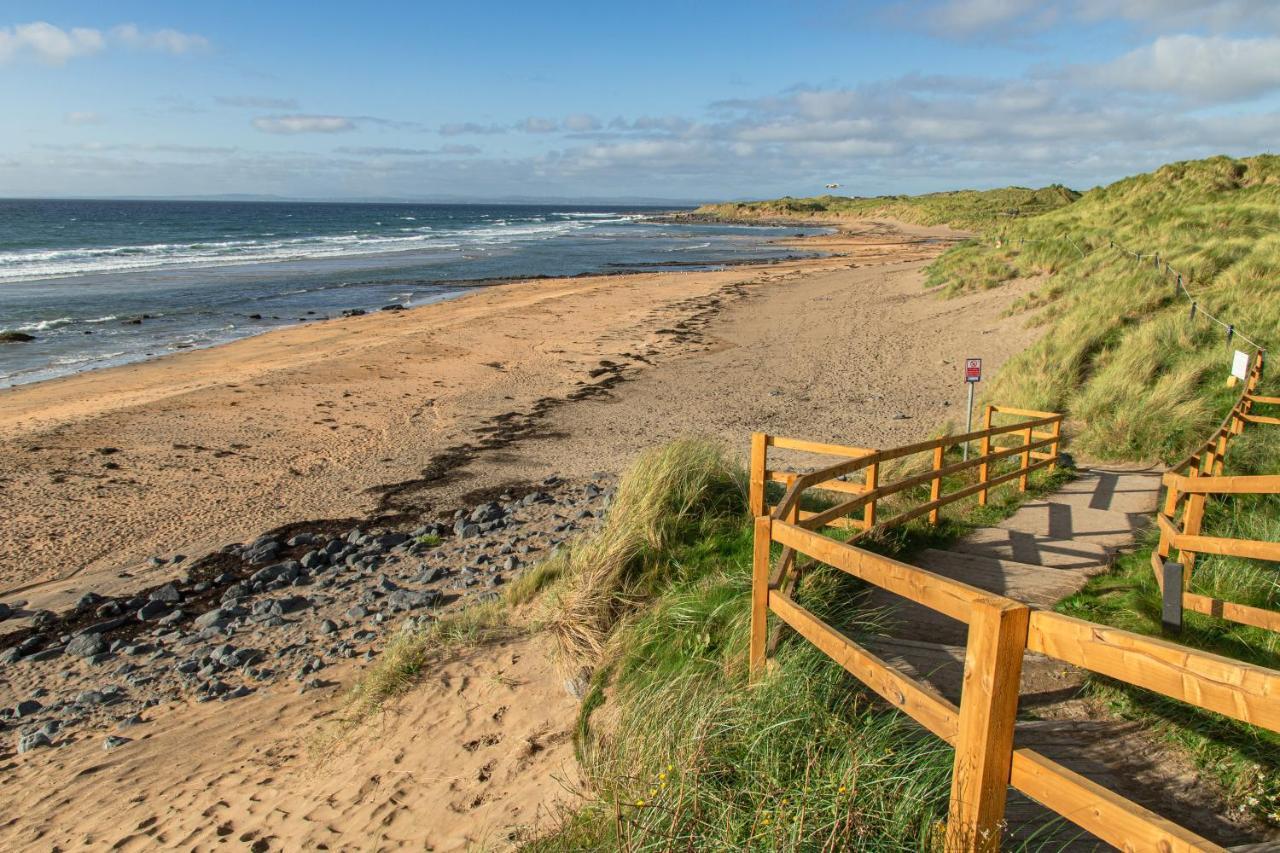 Dolphin Watch Wild Atlantic Way Villa Fanore Екстериор снимка