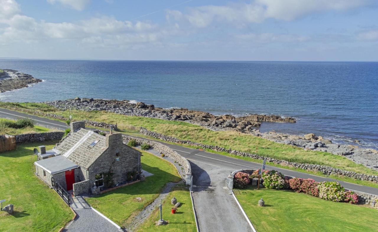 Dolphin Watch Wild Atlantic Way Villa Fanore Екстериор снимка